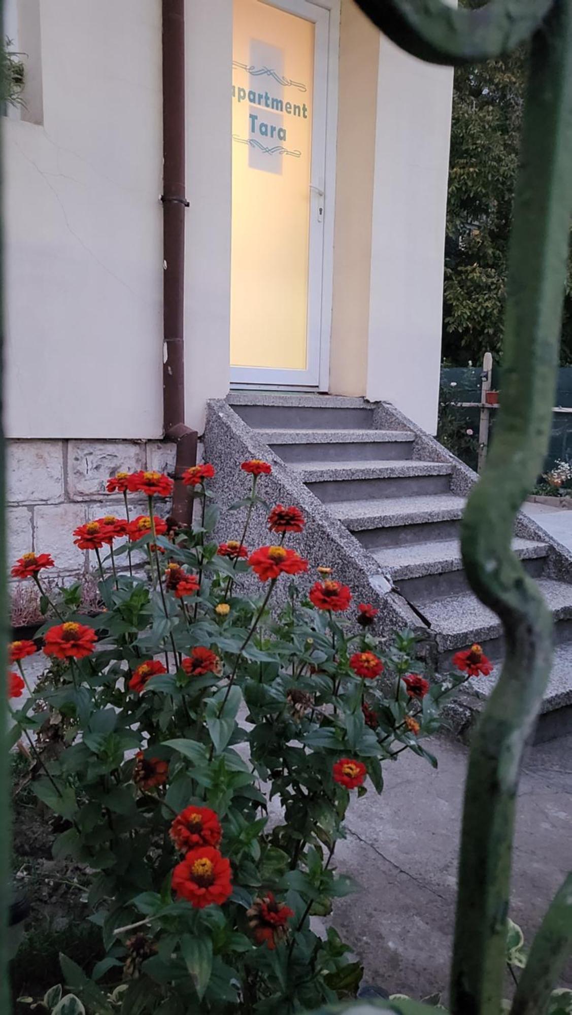 Апартамент За Гости Тара Roese Buitenkant foto